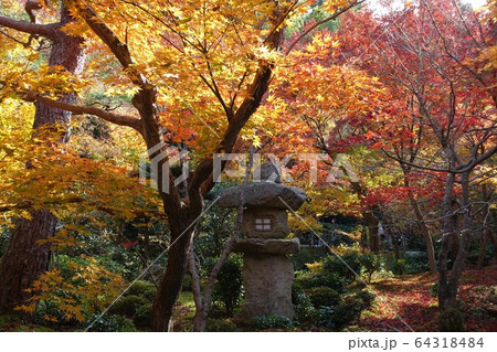 紅葉の日本庭園2@京都 紅葉の日本庭園2@京都 64318484