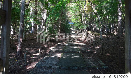 参道・うっそう・木立・薄暗い・仄暗い・石段・階段・林・登山道・緑・奥へ続く・未舗装・木々に覆われる 64319200
