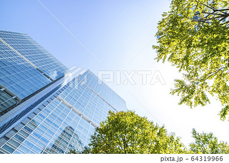 高層ビルを見上げるオフィス街の風景 64319966