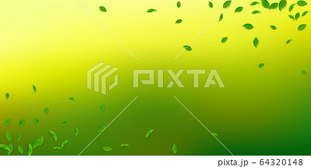 Falling green leaves. Fresh tea chaotic leaves fly 64320148