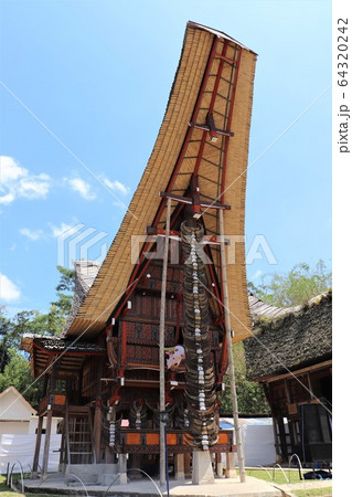 トンコナン トンコナン 64320242