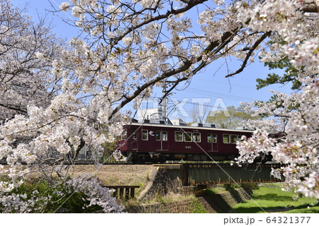 桜並木を抜ける阪急電車 64321377
