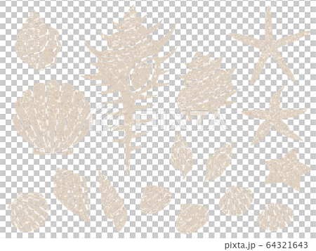 貝とヒトデのイラストセット 64321643