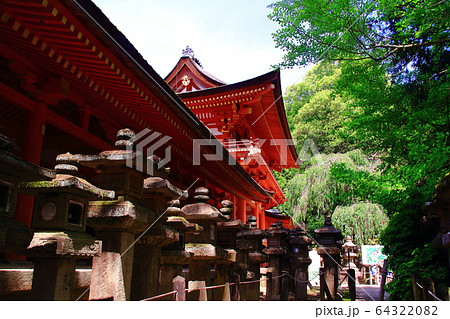 奈良公園(奈良市)の新緑 春日大社 奈良公園(奈良市)の新緑 春日大社 64322082