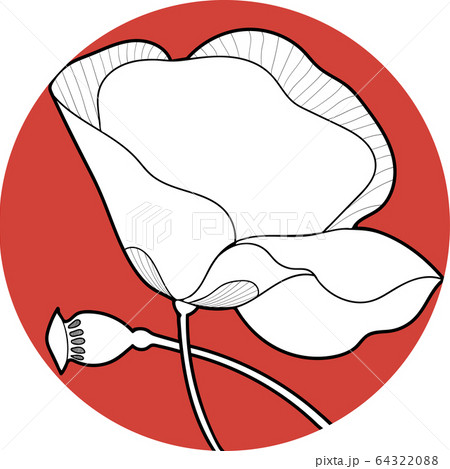 poppy flawers in the circle hand draw 64322088