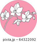 orchid flawers in the circle hand draw 64322092