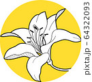 lily flawers in the circle hand draw 64322093