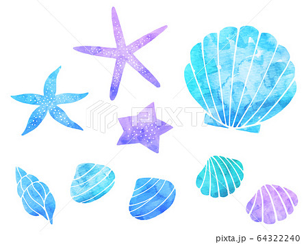 貝とヒトデの水彩風イラストセットのイラスト素材
