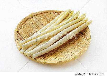 ホワイトアスパラ 64322505