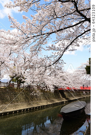 大垣奥の細道結びの地船町湊跡(住吉神社側) 大垣奥の細道結びの地船町湊跡(住吉神社側) 64323109