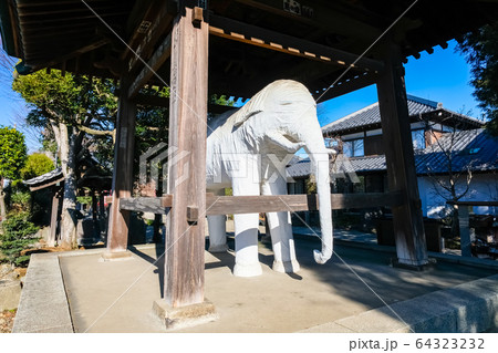 飯能市 観音寺 鐘楼の白象 飯能市 観音寺 鐘楼の白象 64323232
