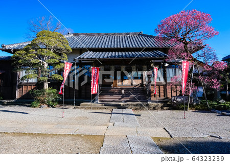 飯能市 観音寺 本堂 飯能市 観音寺 本堂 64323239