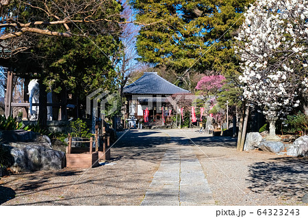 飯能市 観音寺 参道 飯能市 観音寺 参道 64323243