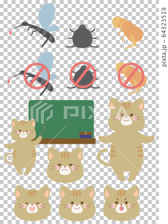 ネコと蚊・ノミ・ダニ ネコと蚊・ノミ・ダニ 64323519