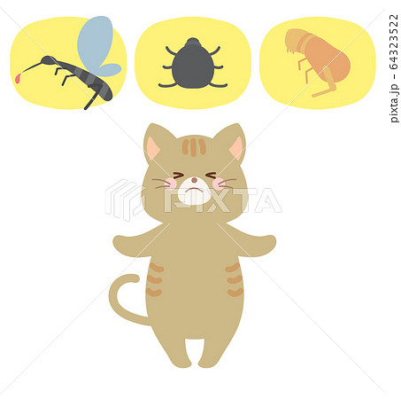 猫と蚊 差に ノミのイラストのイラスト素材