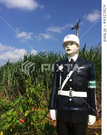 晴天と宮古島まもる君 64323824