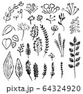 plant_set 64324920