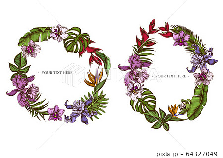 Floral Wreath of colored monstera, banana palm leaves, strelitzia, heliconia, tropical palm leaves, orchid Floral Wreath of colored monstera, banana palm leaves, strelitzia, heliconia, tropical palm leaves, orchid 64327049