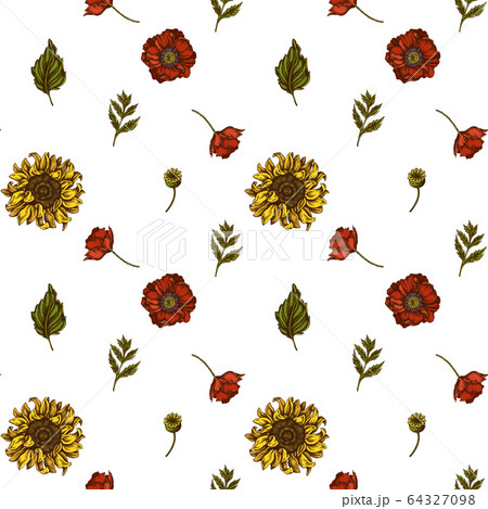 Seamless pattern with hand drawn colored poppy flower, gerbera, sunflower, milkweed, dahlia, veronica 64327098