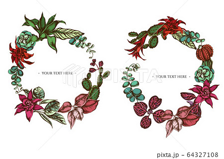 Floral Wreath of colored ficus, iresine, kalanchoe, calathea, guzmania, cactus 64327108