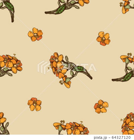 Seamless pattern with hand drawn colored milkweed Seamless pattern with hand drawn colored milkweed 64327120