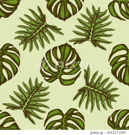 Seamless pattern with hand drawn colored monstera Seamless pattern with hand drawn colored monstera 64327204