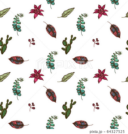 Seamless pattern with hand drawn colored ficus, iresine, kalanchoe, calathea, guzmania, cactus 64327525