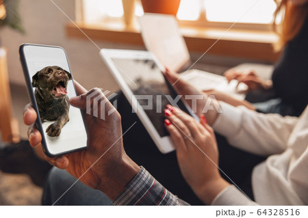 Young friends using gadgets to watch cinema, photos, online courses, taking selfie or vlog Young friends using gadgets to watch cinema, photos, online courses, taking selfie or vlog 64328516