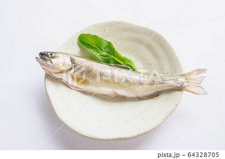 アマゴ アマゴ 64328705