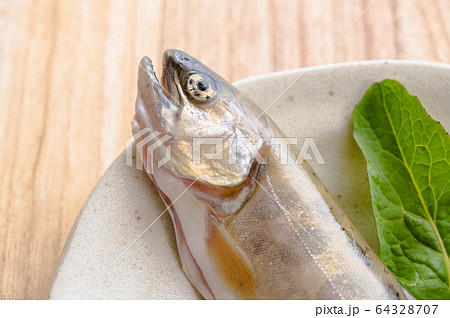 アマゴ アマゴ 64328707