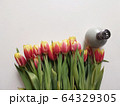 Red and yellow tulips with number eight. Top view of the white background of the spring composition. 64329305