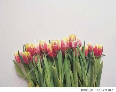Red and yellow tulips with number eight. Top view of the white background of the spring composition. 64329307