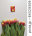 Red and yellow tulips with number eight. Top view of the white background of the spring composition. 64329309