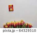 Red and yellow tulips with number eight. Top view of the white background of the spring composition. 64329310