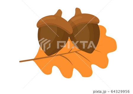 Dry leaf and acorns flat vector illustration 64329956
