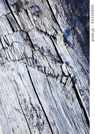 Abstract detail of old dry wood 64330800