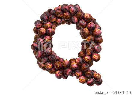 Letter Q from common figs, 3D rendering Letter Q from common figs, 3D rendering 64331213