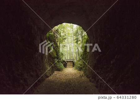 尾鷲の土井竹林　尾鷲の観光名所　三重観光スポット　孟宗竹の風景　竹林とトンネル　 64331280