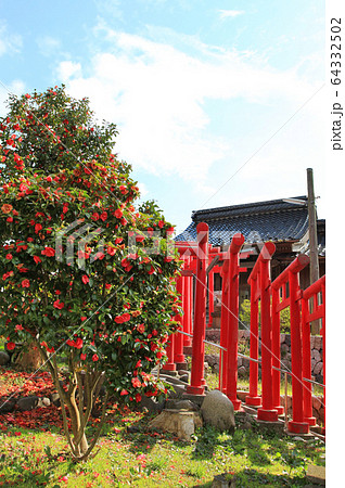 鶴岡公園のお稲荷神社 鶴岡公園のお稲荷神社 64332502