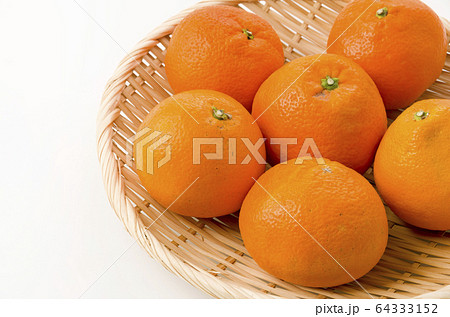 イヨカン イヨカン 64333152