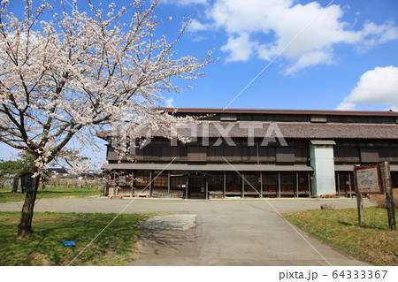 松ヶ岡開墾場 桜と建物 松ヶ岡開墾場 桜と建物 64333367