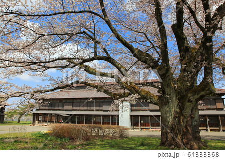 松ヶ岡開墾場　桜と建物 64333368