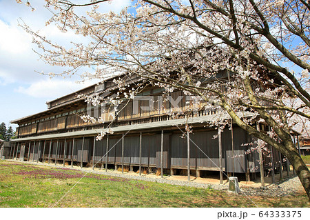 松ヶ岡開墾場 桜と建物 松ヶ岡開墾場 桜と建物 64333375