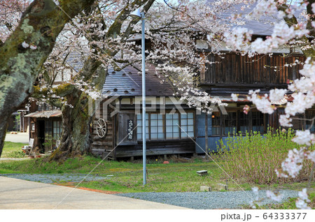 松ヶ岡開墾場 桜と建物 松ヶ岡開墾場 桜と建物 64333377