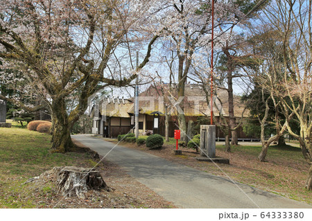 松ヶ岡開墾場　桜と松ヶ岡本陣 64333380