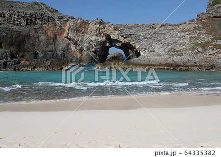 小笠原南島扇池 64335382