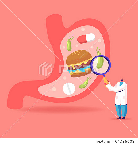 Male Doctor Character with Huge Magnifying Glass Learning Sick Stomach with Helicobacter Disease or Gastritis Male Doctor Character with Huge Magnifying Glass Learning Sick Stomach with Helicobacter Disease or Gastritis 64336008