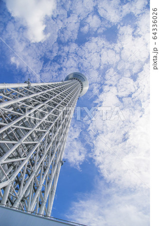 東京スカイツリー　青空　雲　見上げる 64336026