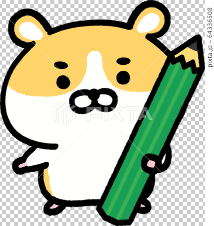 Golden hamster with a pencil 64336508