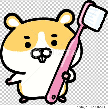 Golden hamster pink with a toothbrush 64336511